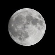 NY152-ソラニン- (@malboro12mg) Twitter profile photo