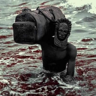 playmills1's profile picture. 