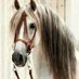 ابتسام (@aibtisam200) Twitter profile photo ابتسام (@aibtisam200) Twitter profile photo