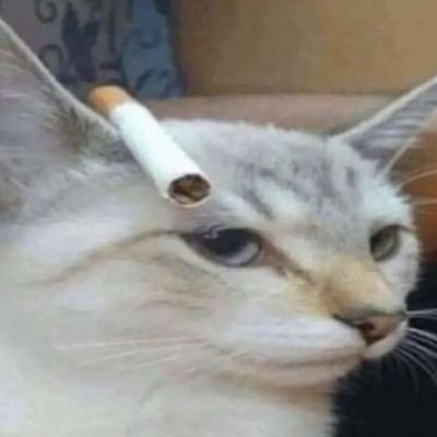 Nagatooo__'s profile picture. 