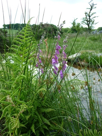 PoleBailey's profile picture. 