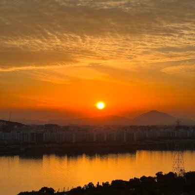 Marinaek's profile picture. 🎨🖌