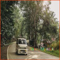 みお🐈＠温泉🗼 (@pmiyazaki5093) 's Twitter Profile