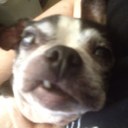 Brandon Keith - @Klewi61 - Twitter