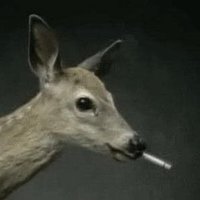 ᴛᴏɴɴ (@_______tonn) 's Twitter Profile Photo ᴛᴏɴɴ (@_______tonn) 's Twitter Profile Photo