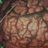 Slikrik209's profile image