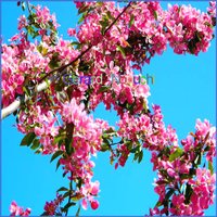 鈴☘️＠痩せられない( ॑˘ ॑ ) ⁾⁾ (@gerardthom63842) Twitter profile photo