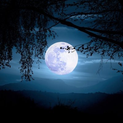 iamdolasen's profile picture. 