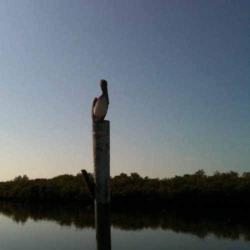 wingnut4991's profile picture. 