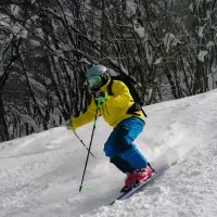 べーあー (@c7htn9k44a60871) 's Twitter Profile