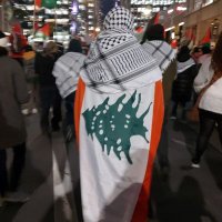 Ziad M. Alostaz 🇵🇸 (@alostazzm) 's Twitter Profile Photo