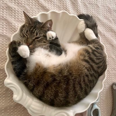 Jami98133722122's profile picture. 