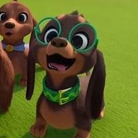 PUCK (@puckpretzelpup_) 's Twitter Profile Photo PUCK (@puckpretzelpup_) 's Twitter Profile Photo