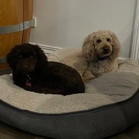 Martin Lloyd (@ml060196) 's Twitter Profile