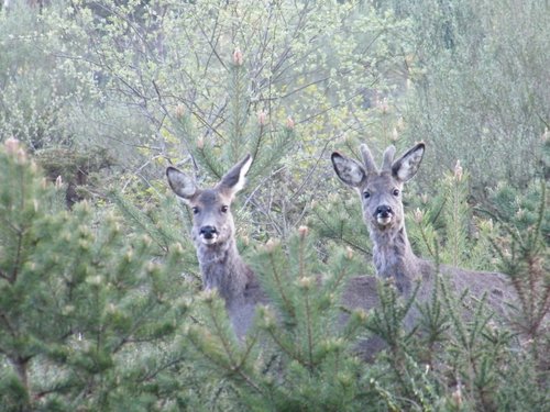 salas_bea's profile picture. 