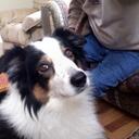 eileen buck - @eileenbuck1 - Twitter