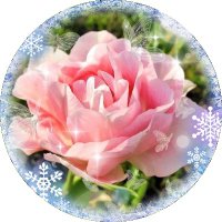 ใใเป๊ฑโ๏พ (@shizuku_104) 's Twitter Profile Photo ใใเป๊ฑโ๏พ (@shizuku_104) 's Twitter Profile Photo