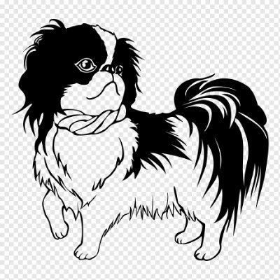 ゴルフスポーツが大好きです。
また、猫や犬などの動物も大好きです。メスの猫を1匹飼っています。彼女の名前はユミです。ユミはメスの猫を2匹産みました。ユミの最初の子供はチャチャです。ユミの2番目の子供はマコトで、2017年3月22日に生まれました。私の猫はすべてメスです。犬を1匹飼っています。#ゴルフスポーツ