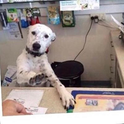 Veterinary Reception for over a decade. Just posting the assortment of things veterinary receptionists deal with.