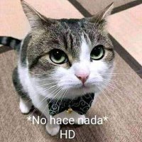 Henry (@enrijakco) 's Twitter Profile Photo Henry (@enrijakco) 's Twitter Profile Photo