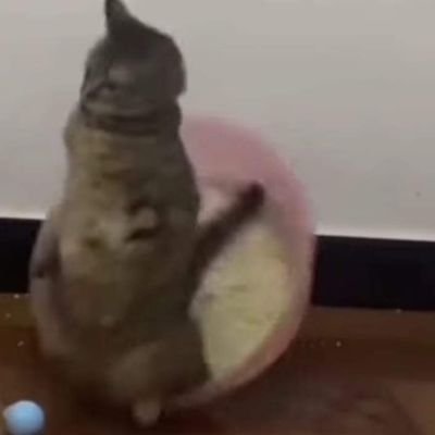 Qwerty_Krep's profile picture. Hey :)