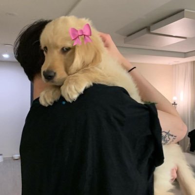 ⋆ 。 ⋆⠀。 ⠀⋆。 ⋆ 🐈⬛⠀ ⋆ 。 ⋆⠀ ⋆。 ⋆ 。⠀。 ⠀⋆ ⠀ 🍒⠀。 ⋆ ⋆。 ⋆ 。⋆ 。 ⋆。 🦭 ⋆。 ⠀ ⋆ ⋆。⠀ ⋆ ⠀ ⋆。 ⋆。 ⠀⋆ ⋆ 🎀⠀。 ⋆⠀ ⋆ 。 ⠀ ⋆。 ⋆ ⠀ 。 ⋆。 ⋆ 。 ⋆。 ⋆ 。 ⋆ ⠀ ⋆。 ⋆ ⋆。⠀🖤 。 ⋆。⋆ 。 ⋆ ⠀。 ⋆ ⋆。