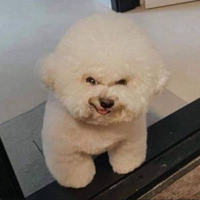 jcsa080's profile picture. fazendo nada