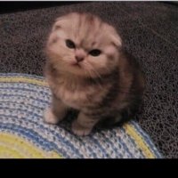 SalahEldin (Mr_MaTriX) (@fikrimatrix) 's Twitter Profile