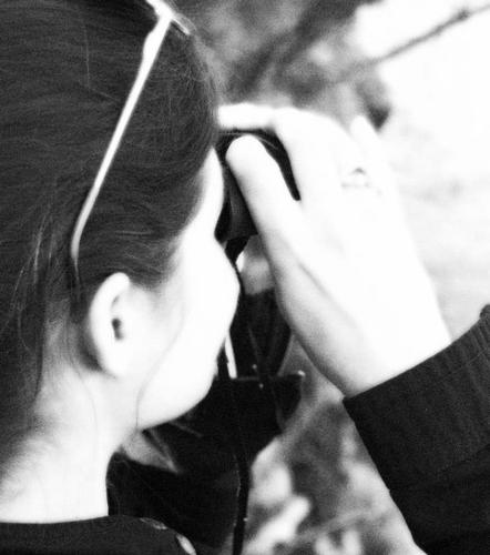 Sundance82's profile picture. Birds, dinosaurs, sharks, birds, space, science, Shakespeare, more birds, and strong opinions. And birds.