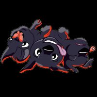 Cerberus (@homeofcerberus) 's Twitter Profile
