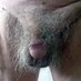 corte48 (@josepaiva311) Twitter profile photo corte48 (@josepaiva311) Twitter profile photo