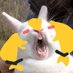 Mkoz (Comms Open) (@mkozopen) Twitter profile photo Mkoz (Comms Open) (@mkozopen) Twitter profile photo