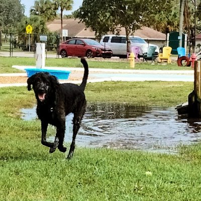 CD2818_'s profile picture. 