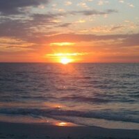 Beverly Meiner - @FloridaVoter54 Twitter Profile Photo