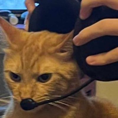 bald. bi. professional himedanshi. i never spamlike i prolly just fw your posts. do not interact if you're a minor go watch the minecraft movie dude