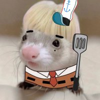 FERRET MOVED ACCS READ PINNED (@spngskz) 's Twitter Profile Photo FERRET MOVED ACCS READ PINNED (@spngskz) 's Twitter Profile Photo