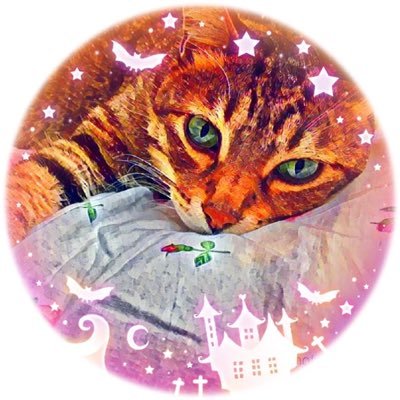 bannbiさんのプロフィール画像