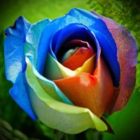 💫Annika🇺🇲🇸🇪 🇺🇦 🇨🇦🌊 (@phlob) 's Twitter Profile