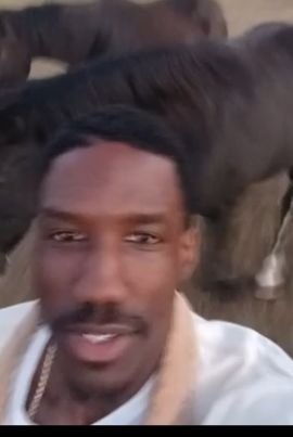 chan_mutiny's profile picture. 