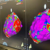 Atenea_RS (@rsatenea) 's Twitter Profile