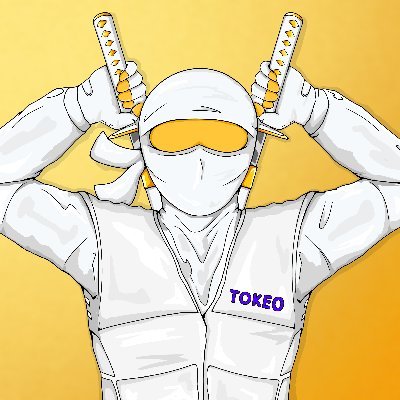 gavlaaharris's profile picture. Lead Developer @tokeopay