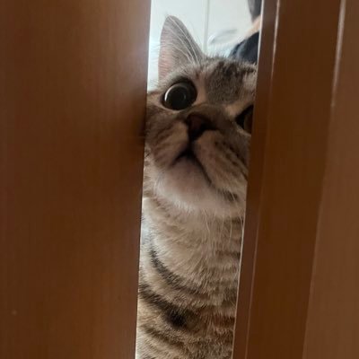 ㌆さんのプロフィール画像