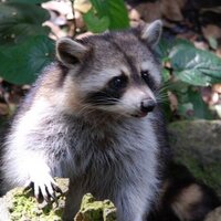 geomrz (@geomrz) 's Twitter Profile Photo