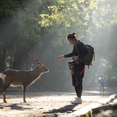 写真で世界2位の技術で伝える奈良の魅力 || 奈良公園のシカグラファー || 奈良の知られざる神秘を写真に|| IPA🥈 || SONY α