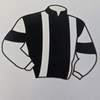 D. Serhan TAŞKIN (@dstpower) 's Twitter Profile
