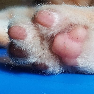 Afri_9830's profile picture. 