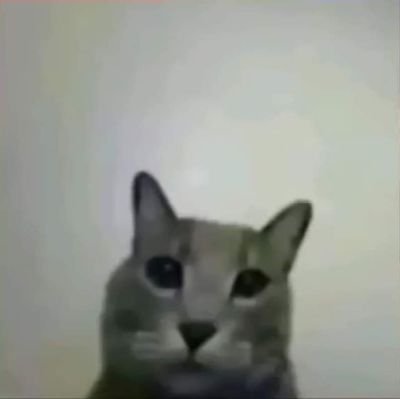 C_Papu_Jassel's profile picture. 