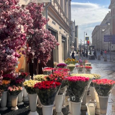 NooraAlAbdali's profile picture. (إنه من يتقِ ويصبر فإن الله لا يضيع أجر المحسنين)