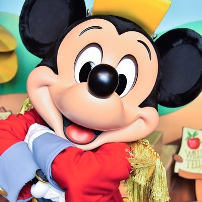 テーマパーク大好き/USJ、SPL年パス/東も西もよく喋る/応援してるお姉さん、お兄さんいます/DC(🕊️🍀)/PKM/Disney(弟子、マレフィセント)/サンリオ(🎀🎗️)/tk(🌺🐙)/rkrn(📛🎋/5箱)/🎥/🎮/MARVEL/Peanats/好きなことには常に全力な社会人