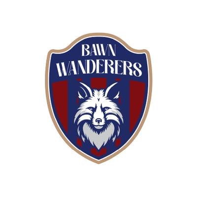 Follow for fixtures, results and team news! 🦊🦊
